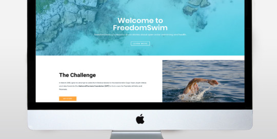 balesareative-wordpress-website-design-freedomswim-2